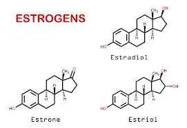 Steroid estrogen effects