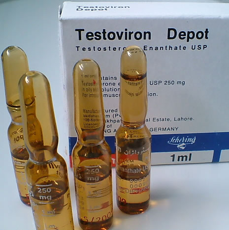 Winstrol and testosterone enanthate cycles