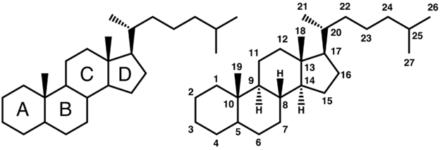 File:Steroid numbering.png