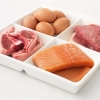 Building Solid Muscle By Choosing Protein Wisely