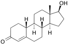 Testosterone biosynthesis