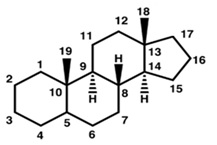 Types of oral steroid