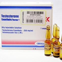 Oral turinabol profile