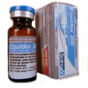 Testodex Enanthate 250 mg Sciroxx - Nicht für jedermann
