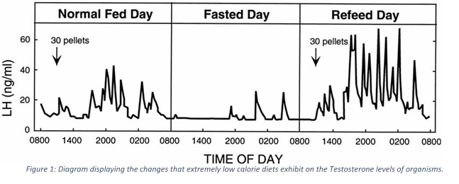 Tesotsterone Booster