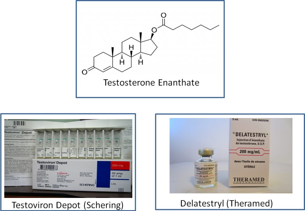 Testosterone Types and Variants