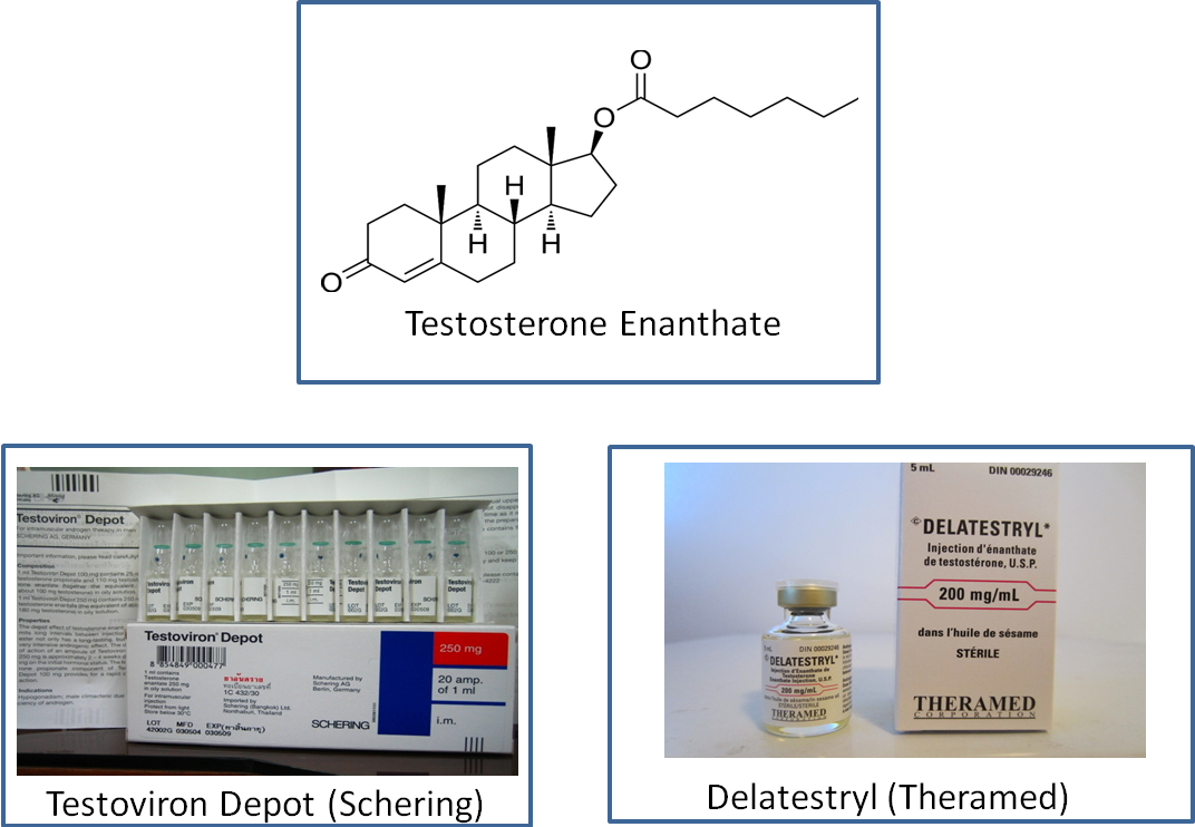 Testosterone Types