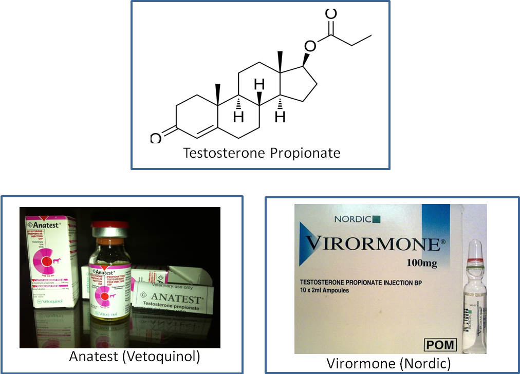 Testosterone Propionate