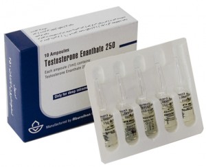 testostrone enanthate amp