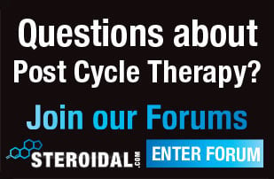 Post steroid cycle therapy drugs