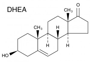 dhea