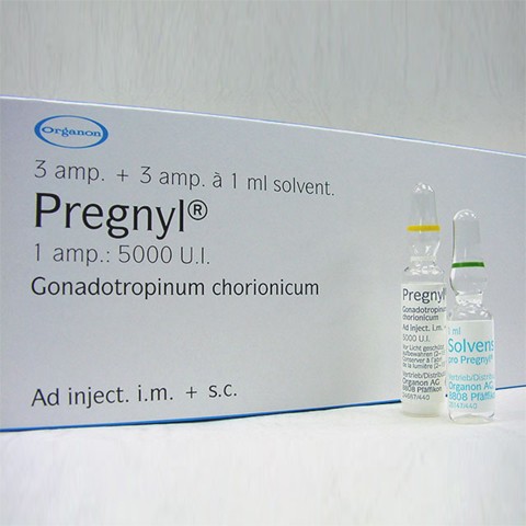 Primobolan and anavar cycle for females