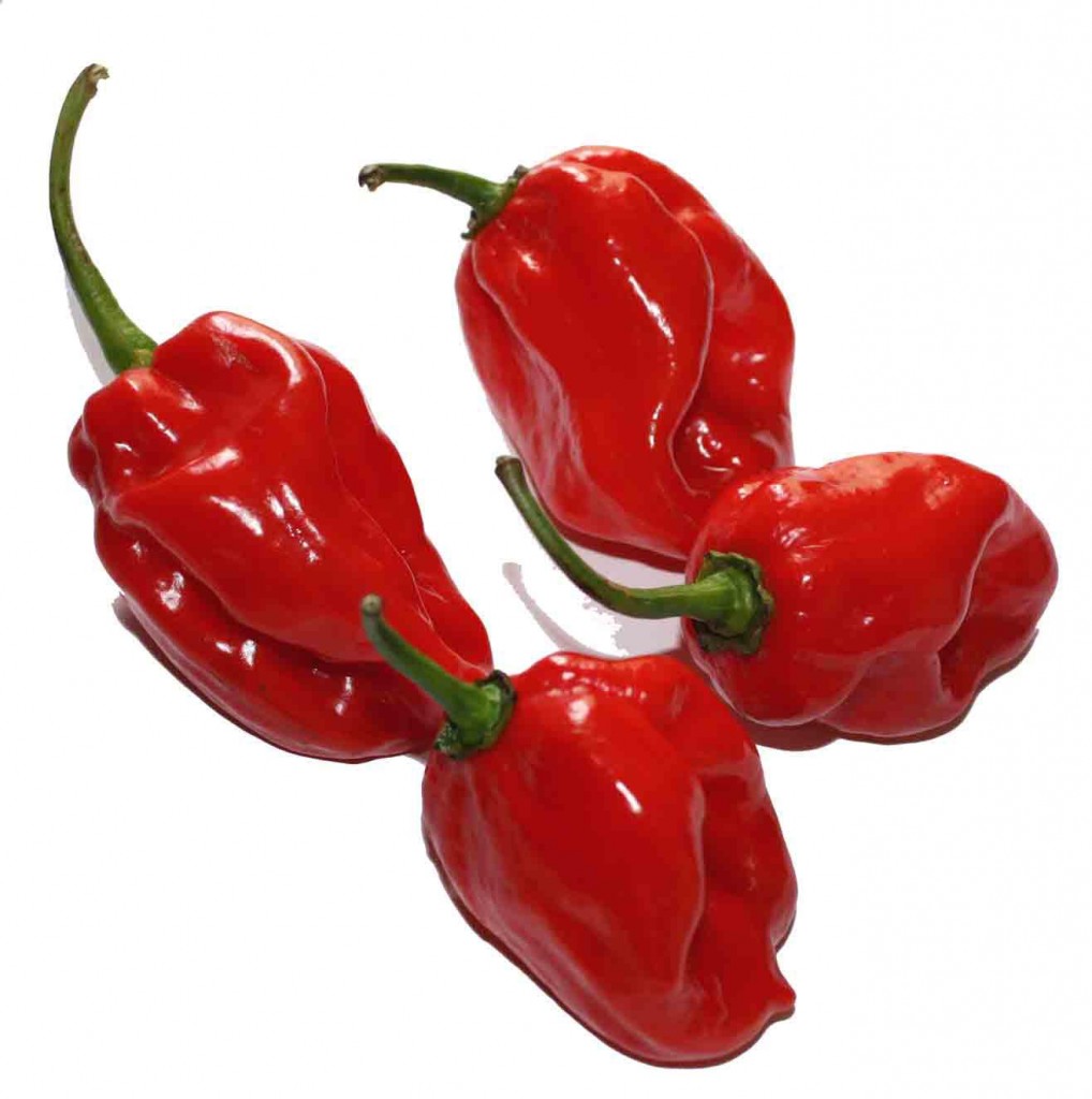 The Benefits of Capsaicin