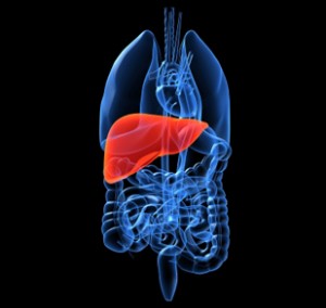 liver graphic 1