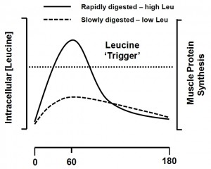 Low dose masteron hair loss