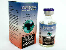 Neotest 250 - Testosterone Decanoate - Side Effects, Uses Neotest 250 - Testosterone Decanoate - Side Effects, Uses