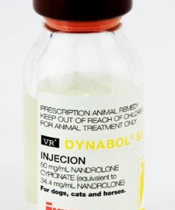 Dynabol (Nandrolone Cypionate) - Side Effects Dynabol (Nandrolone Cypionate) - Side Effects