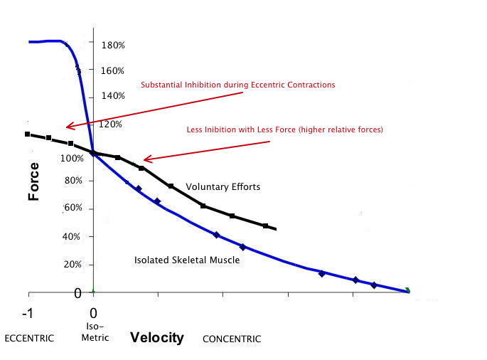 Graph 1