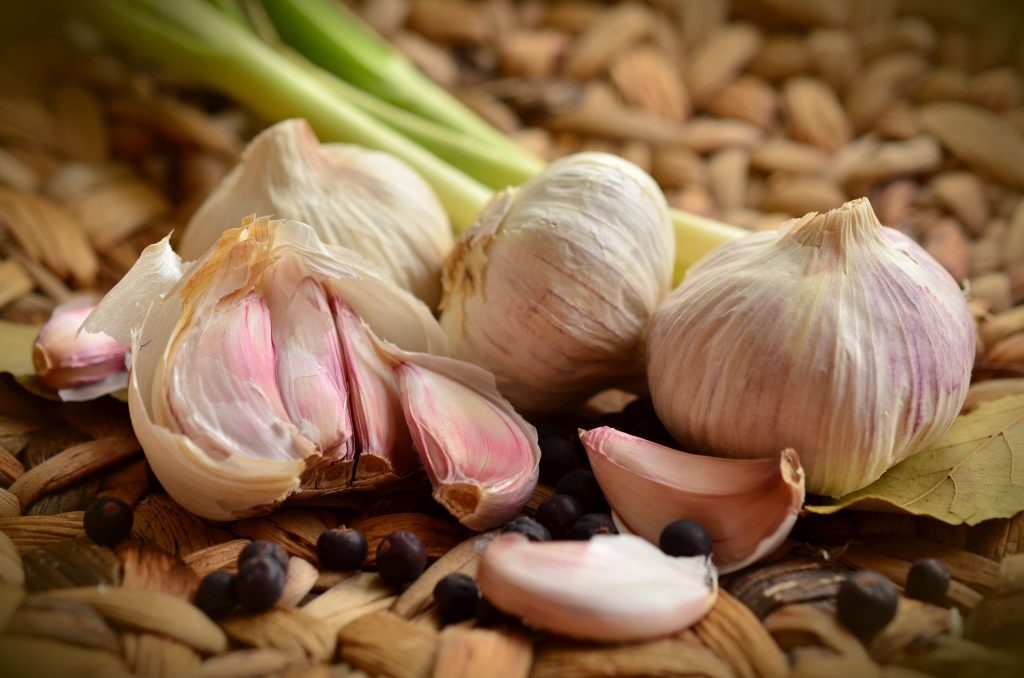 Study: Garlic and Longevity Study: Garlic and Longevity
