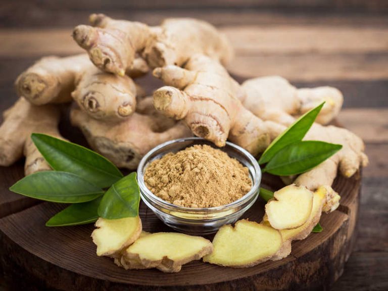 Study Ginger Helps Burn Fat